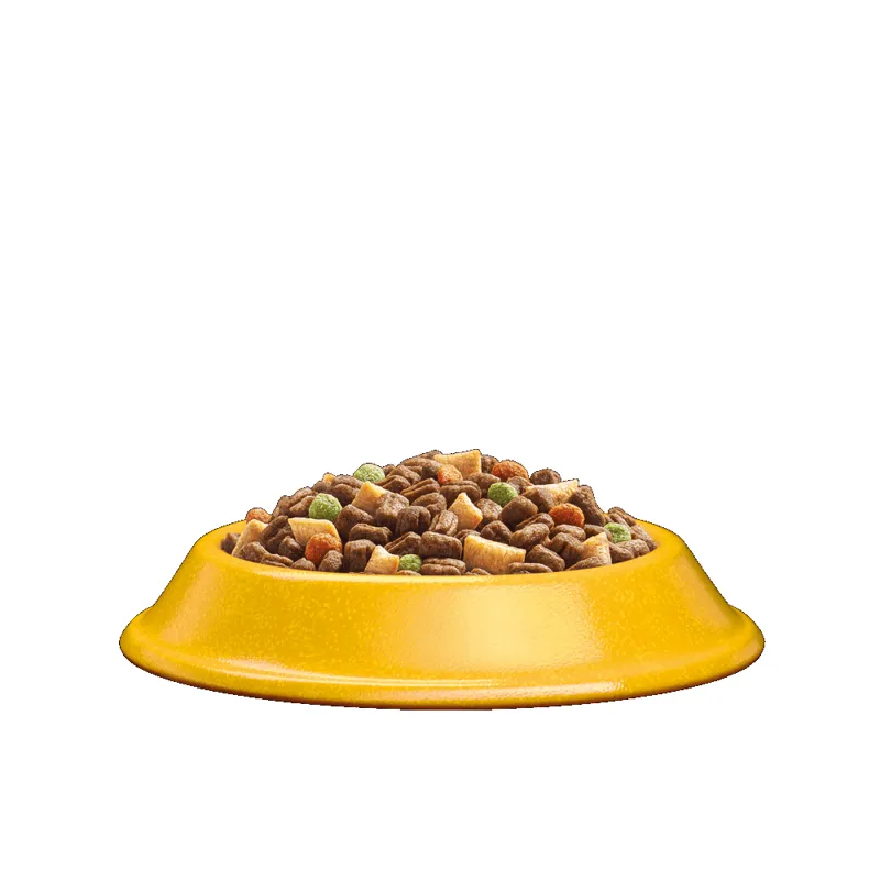 Whiskas Adult 7+ Dry Cat Food Chicken-4